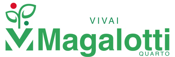 Magalotti
